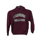 Image for the Youth Hoodie product