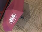 Image for the Storm Flash Lighted Umbrella - Imprinted product