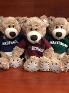 Image for the Stitchez Bear with t-shirt product