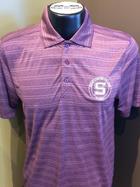 Image for the Cutter and Buck Interbay Stripe Polo
(GARNET) product