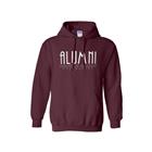 Image for the 710 BRANDED® SOUTHERN ILLINOIS ALUMNI SCRIPT HOODIE product