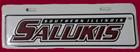 Image for the SALUKI PLATE RIDER product