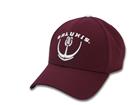 Image for the THE GAME® SALUKIS FOOTBALL ADJUSTABLE HAT product