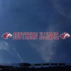 Image for the NEW 2019 LOGO 15.75" x 1.75" DECAL product