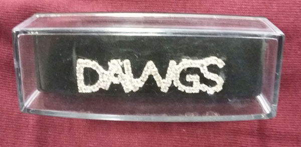 Image for the RHINESTONE DAWGS PIN product