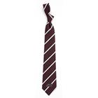 Image for the EAGLES WINGS® SIU STRIPED POLY BLEND PROFESSIONAL TIE product