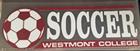 Image for the Color Shock Soccer Decal product