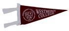 Image for the Collegiate Pacific 4x9 Seal Pennant product