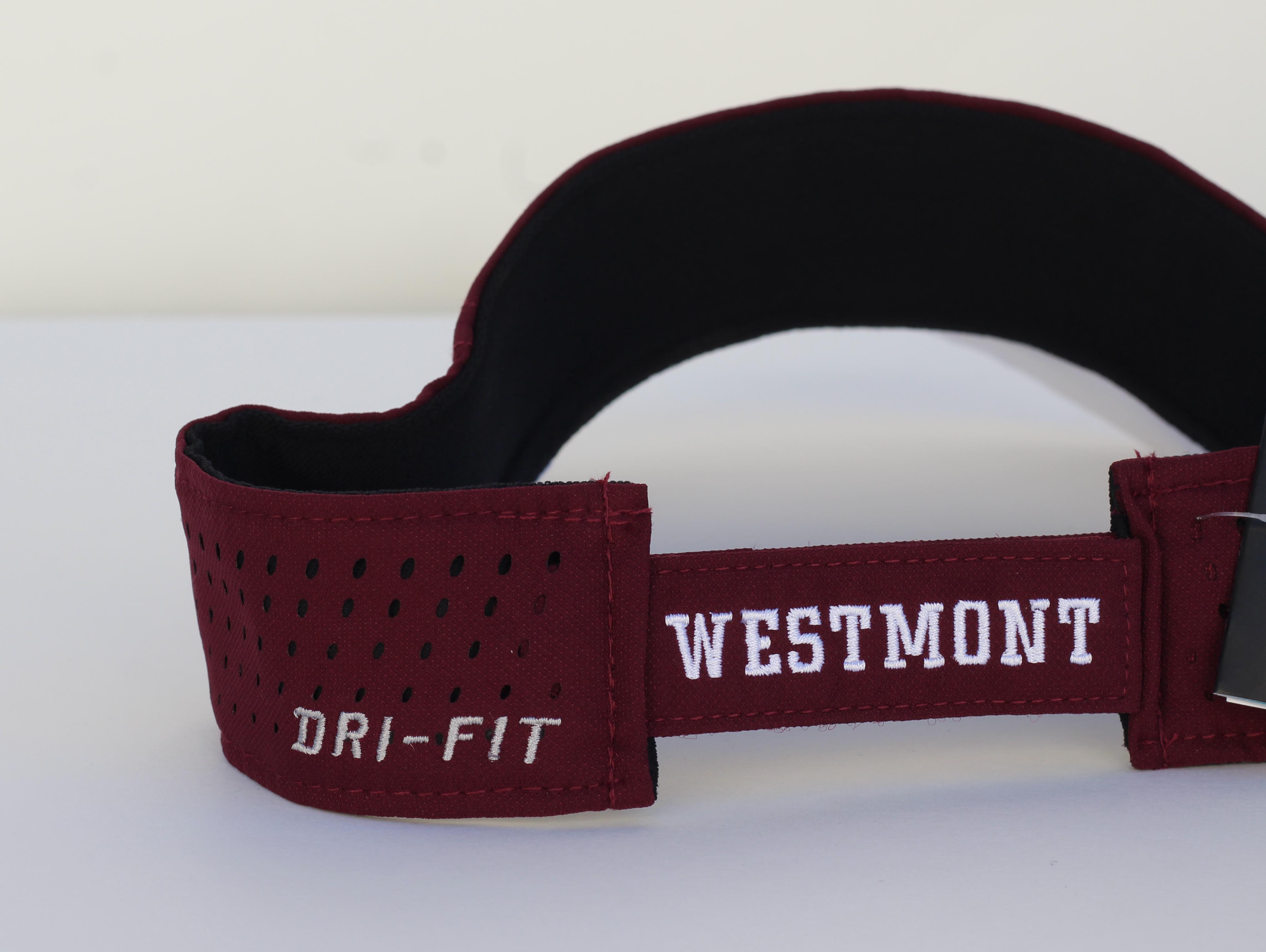 Alternative Image for the Nike Dri Fit 2015 Coaches Warrior Visor product