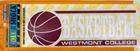 Image for the Color Shock Basketball Decal product
