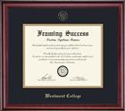 Image for the Framing Success Diploma Frames product