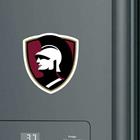 Image for the Color Shock Warrior Head Mini Magnet product