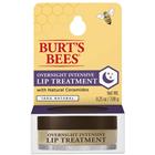 Image for the Burt's Bees Overnight Intensive Lip Treatment product