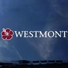 Image for the Color Shock Westmont Hibiscus Decal product
