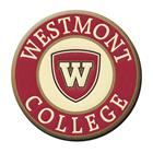 Image for the Spirit Westmont Patch product