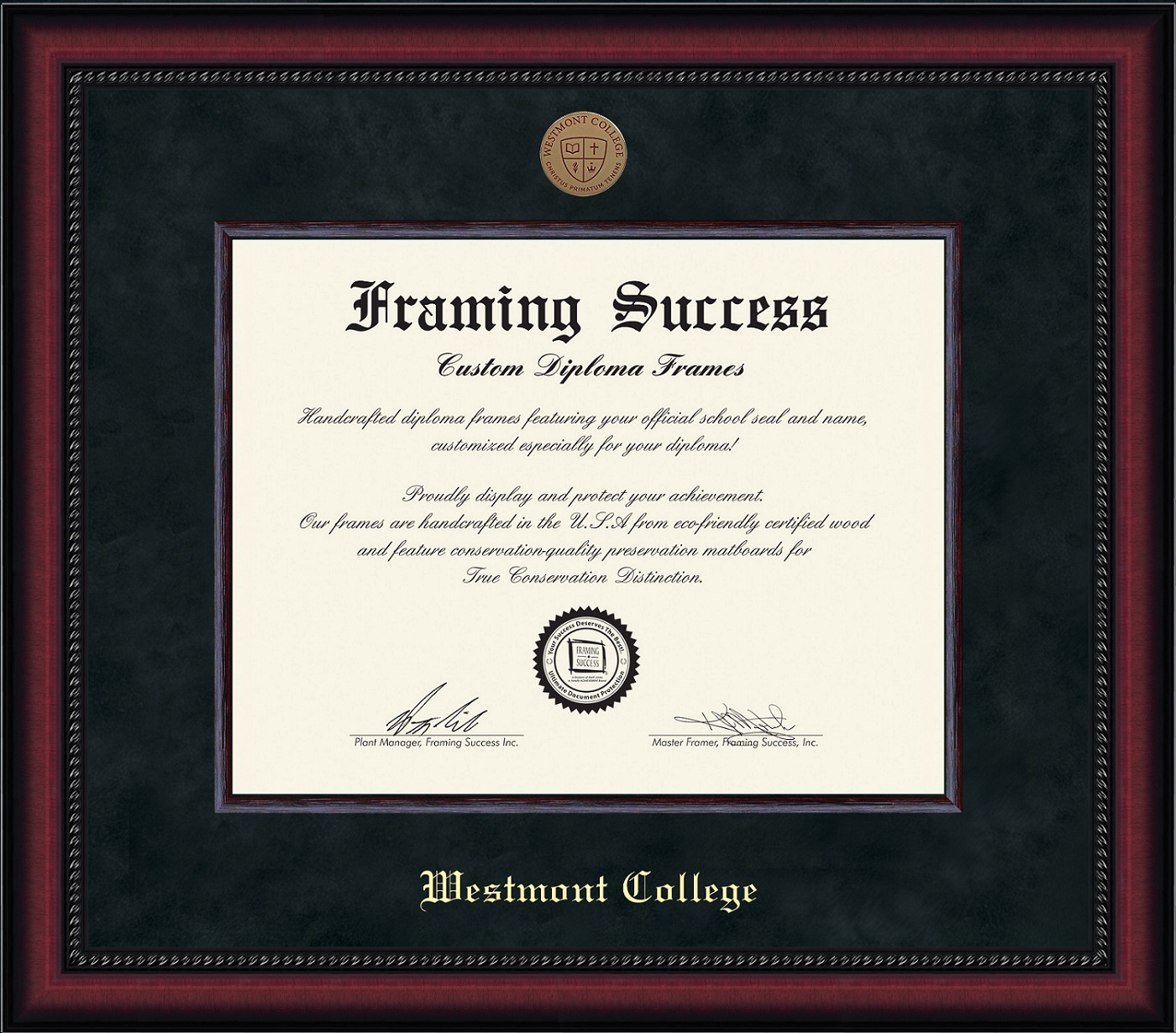 Alternative Image for the Framing Success Diploma Frames product