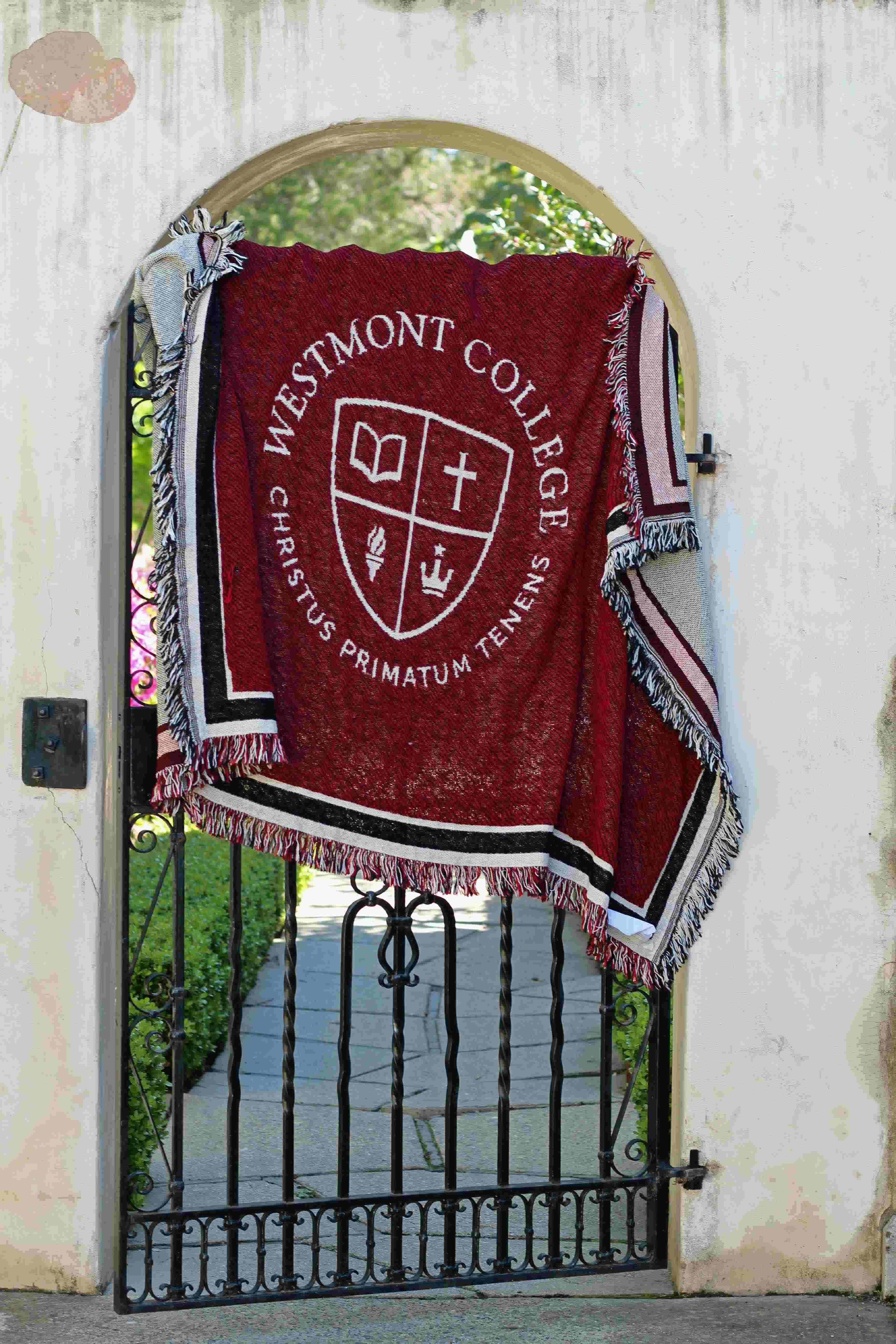 Image for the Boxercraft Woven Afghan product