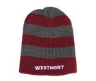 Image for the Legacy w/ Stripe Beanie product