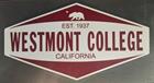 Image for the Color Shock Westmont CA Bear Decal product