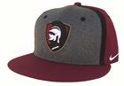 Image for the True Sideline Player's Hat product