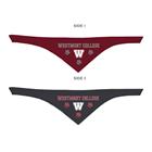 Image for the Spirit Reversible Pet Bandana product