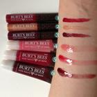 Image for the Burt's Bees Tinted Lip Oil product