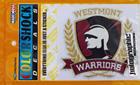 Image for the Color Shock Holographic Warrior Decal product