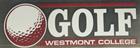 Image for the Color Shock Golf Decal product