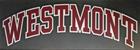Image for the Westmont Decal product