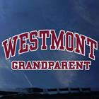 Image for the Color Shock Grandparent Decal product