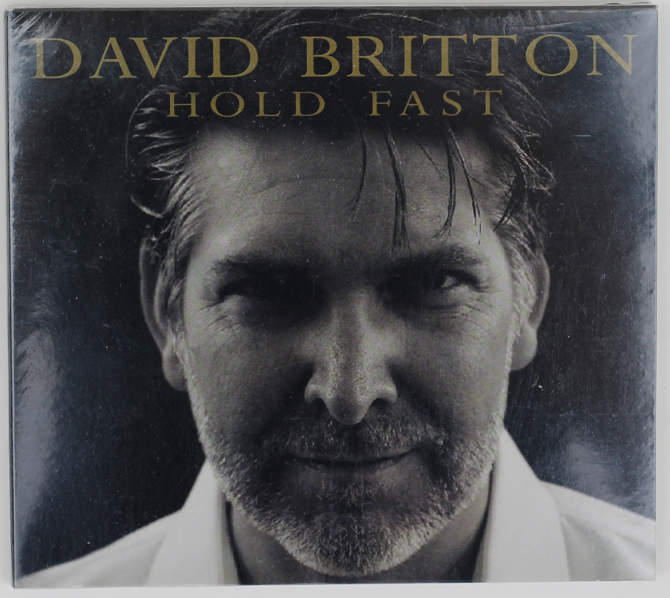 Image for the Hold Fast - David Britton CD product