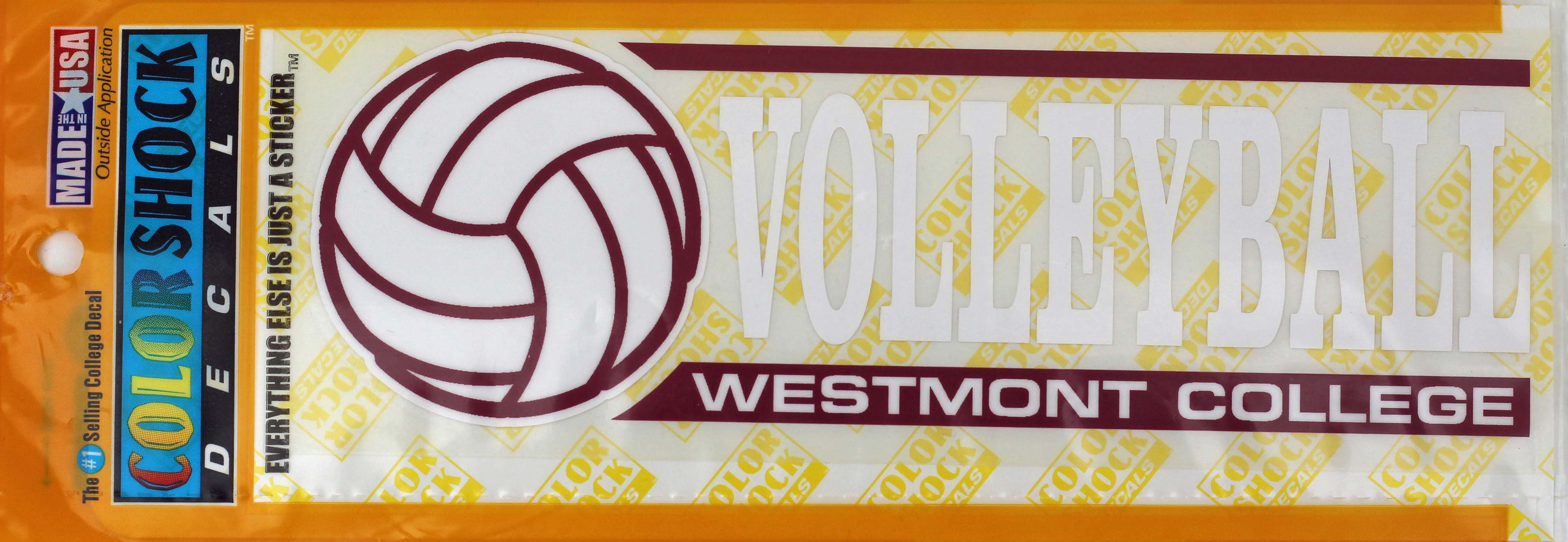 Image for the Color Shock Volleyball Decal product
