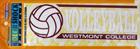 Image for the Color Shock Volleyball Decal product