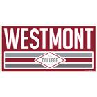 Image for the Camp David Westmont 1937 3" x 6" Decal product
