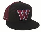Image for the Nike Express Pulse True Hat product