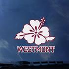 Image for the Color Shock Hibiscus Decal product