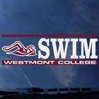 Image for the Color Shock Swim Decal product