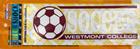 Image for the Color Shock Soccer Decal product
