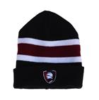 Image for the Legacy Warrior Striped Beanie product