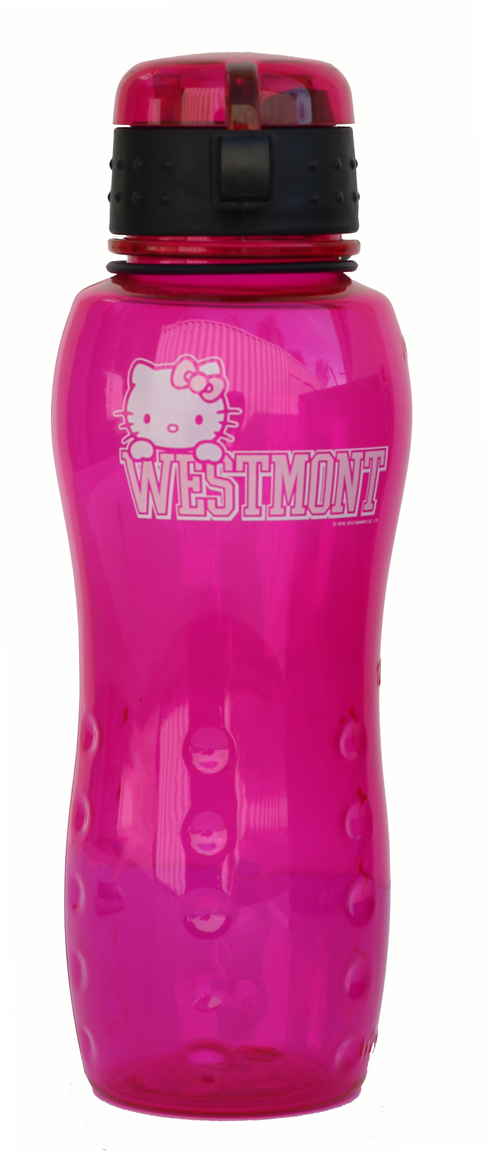 Image for the SALE Hello Kitty Water Bottle product